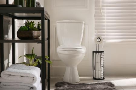 Toilet Repair & Replacement