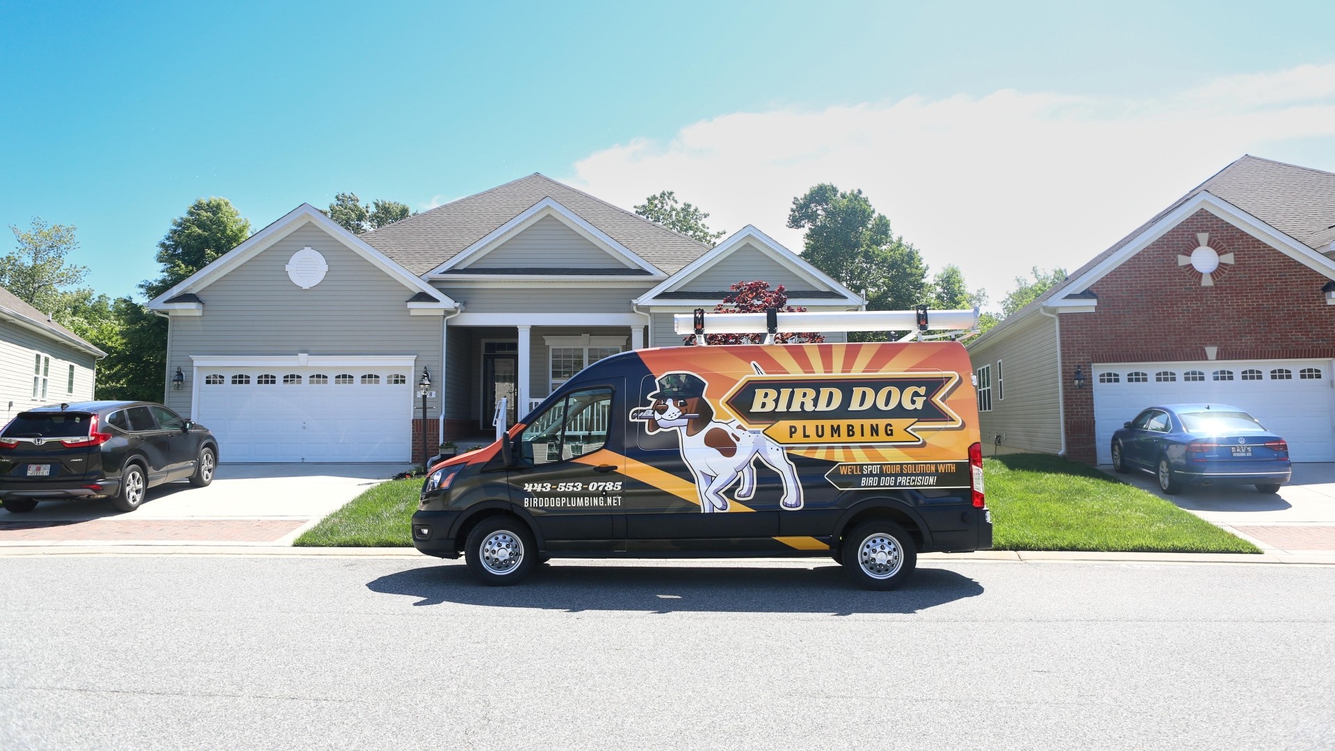 Bird Dog Plumbing LLC Banner